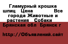 Гламурный крошка шпиц › Цена ­ 30 000 - Все города Животные и растения » Собаки   . Брянская обл.,Брянск г.